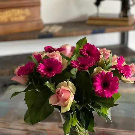 Lejlighed Sonnenschein Weinheim