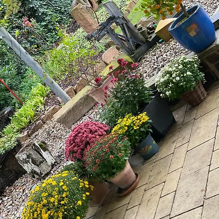 Sonnenschein Weinheim