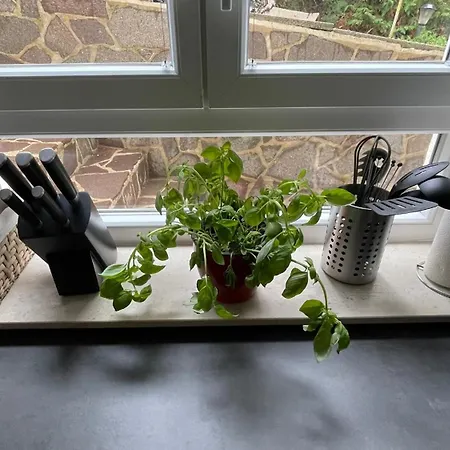 Sonnenschein Appartamento