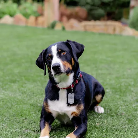 Lejlighed Sonnenschein Weinheim