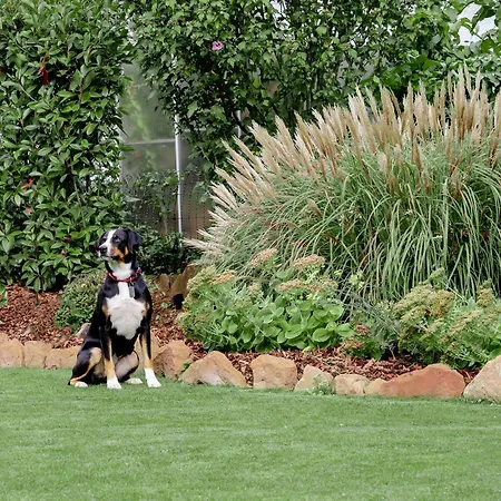 Sonnenschein Weinheim