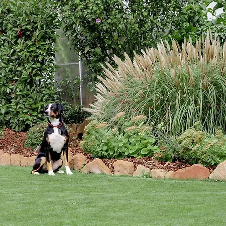 Sonnenschein Lejlighed *